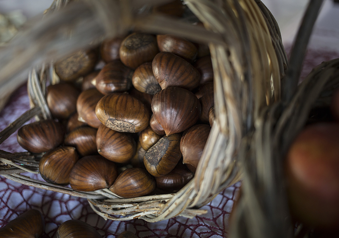 Castagne