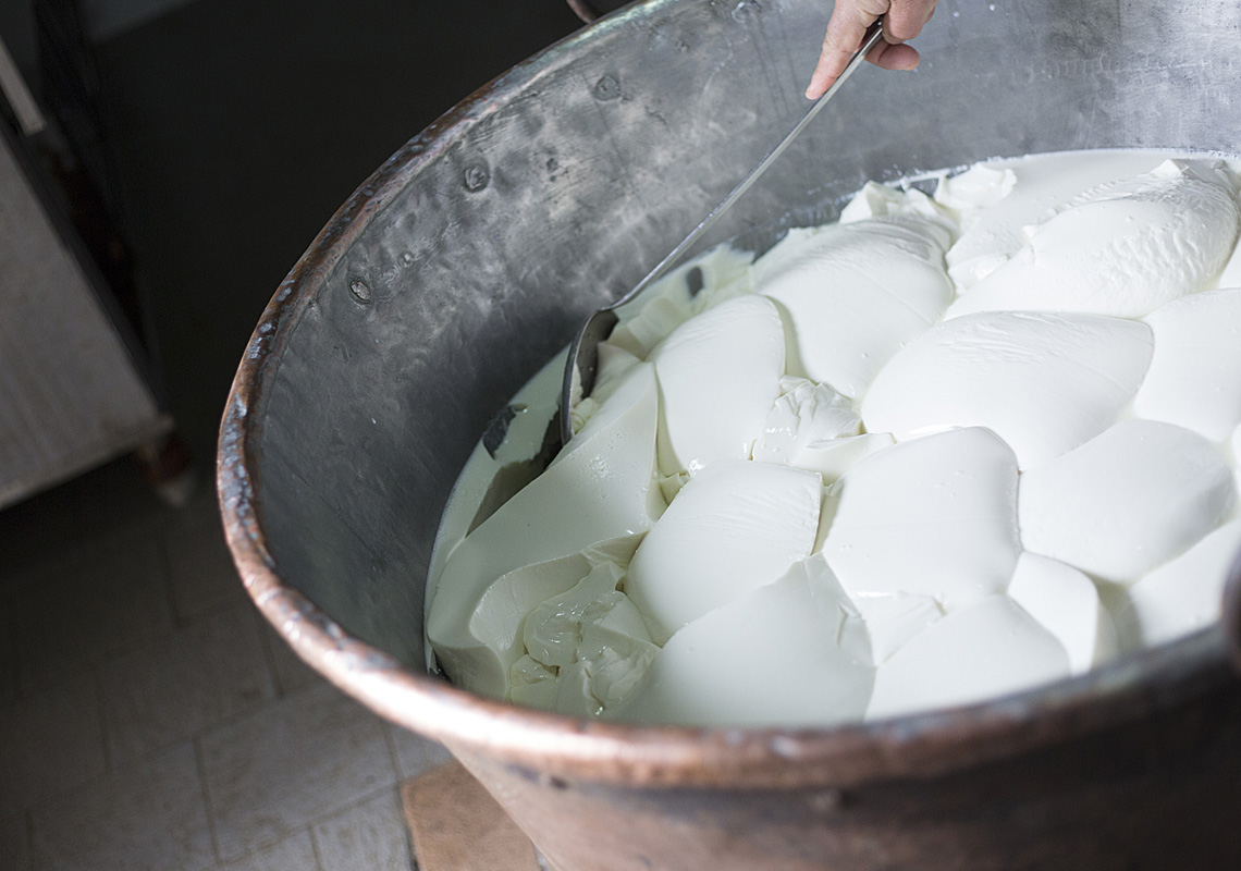 Preparazione Del Formaggio