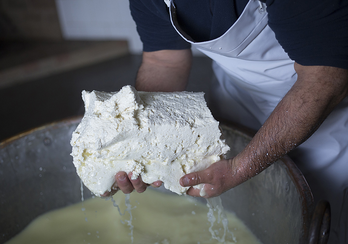 Preparazione Del Formaggio