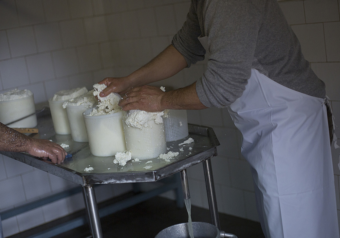 Preparazione Della Ricotta