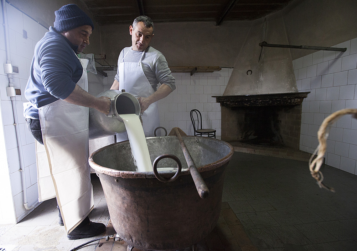 Lavorazione Del Pecorino