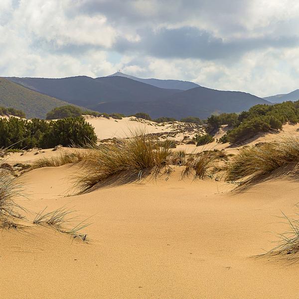 Dune Sardegna