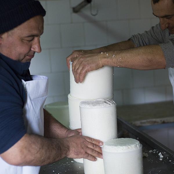 Preparazione Del Formaggio