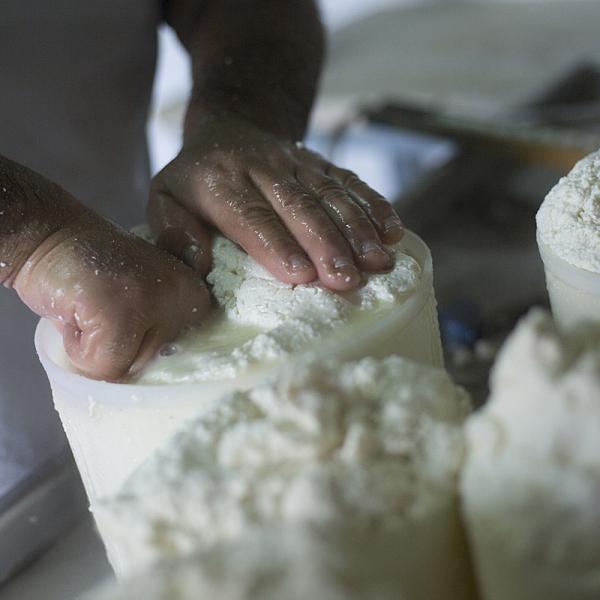 Preparazione Del Formaggio