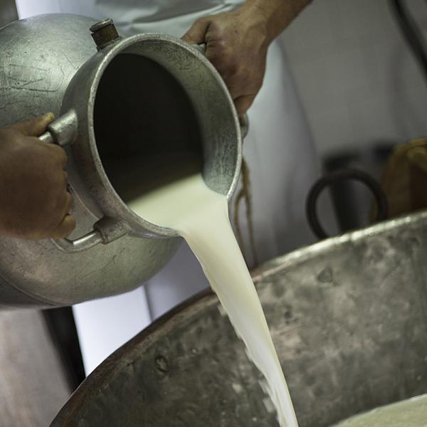 Preparazione Del Formaggio