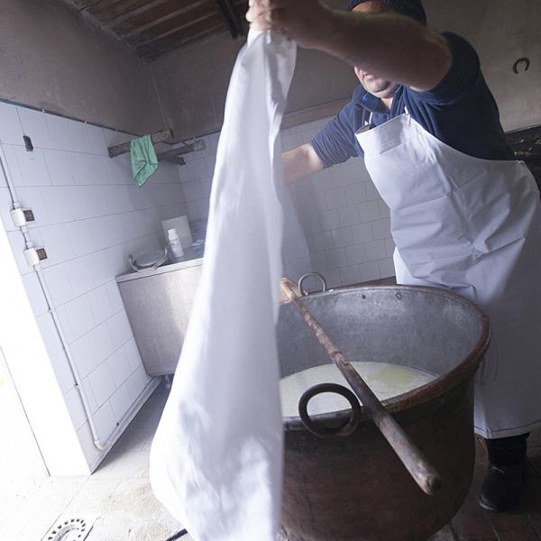 Preparazione Del Formaggio