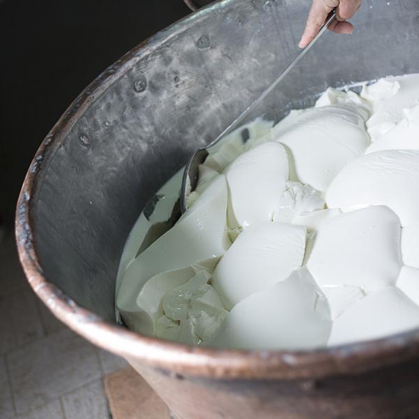 Preparazione Del Formaggio