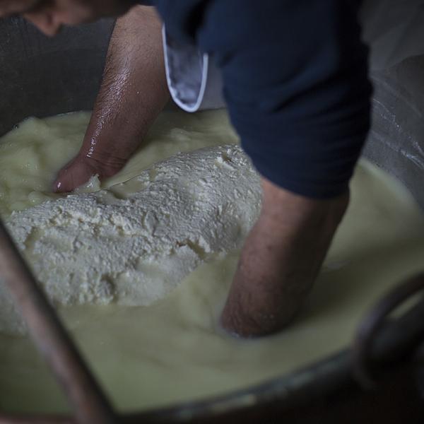 Preparazione Del Formaggio