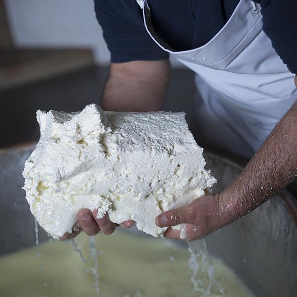 Preparazione Del Formaggio