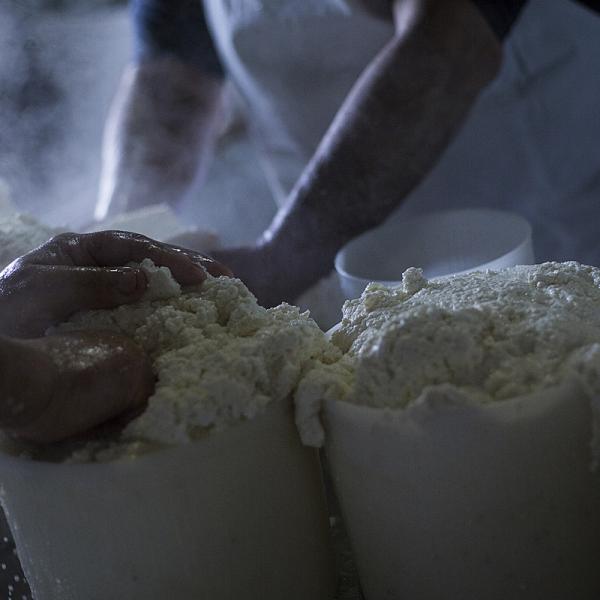 Preparazione Del Formaggio