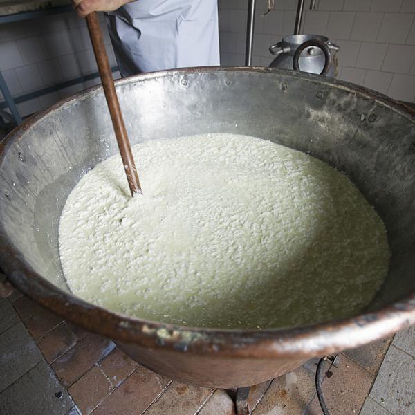 Preparazione Del Formaggio