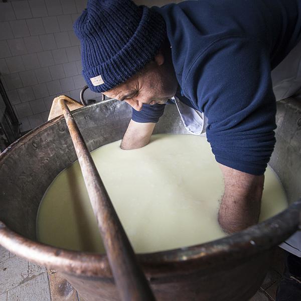 Preparazione Del Formaggio