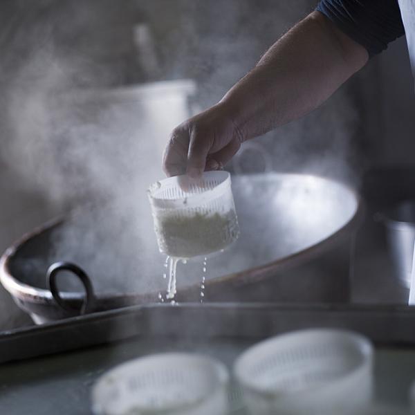 Preparazione Del Formaggio