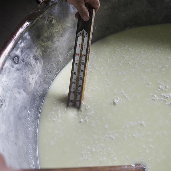 Preparazione Del Pecorino