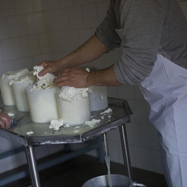 Preparazione Della Ricotta